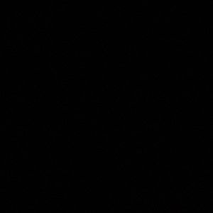 Meet your Posher, Jannette